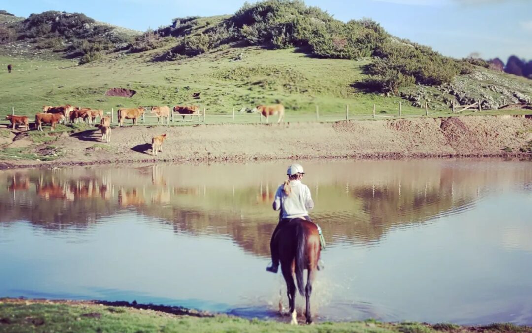 Horse Trekking in Rome